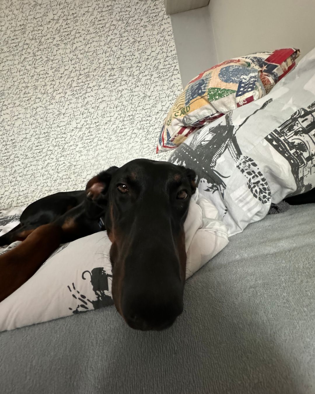 Projekt bez nazwy (6)